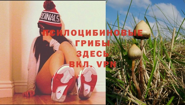mix Мегион