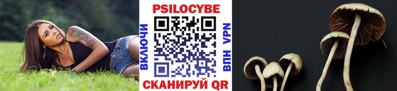 Псилоцибиновые грибы мухоморы  магазин продажи   hydra рабочий сайт  Новоульяновск 